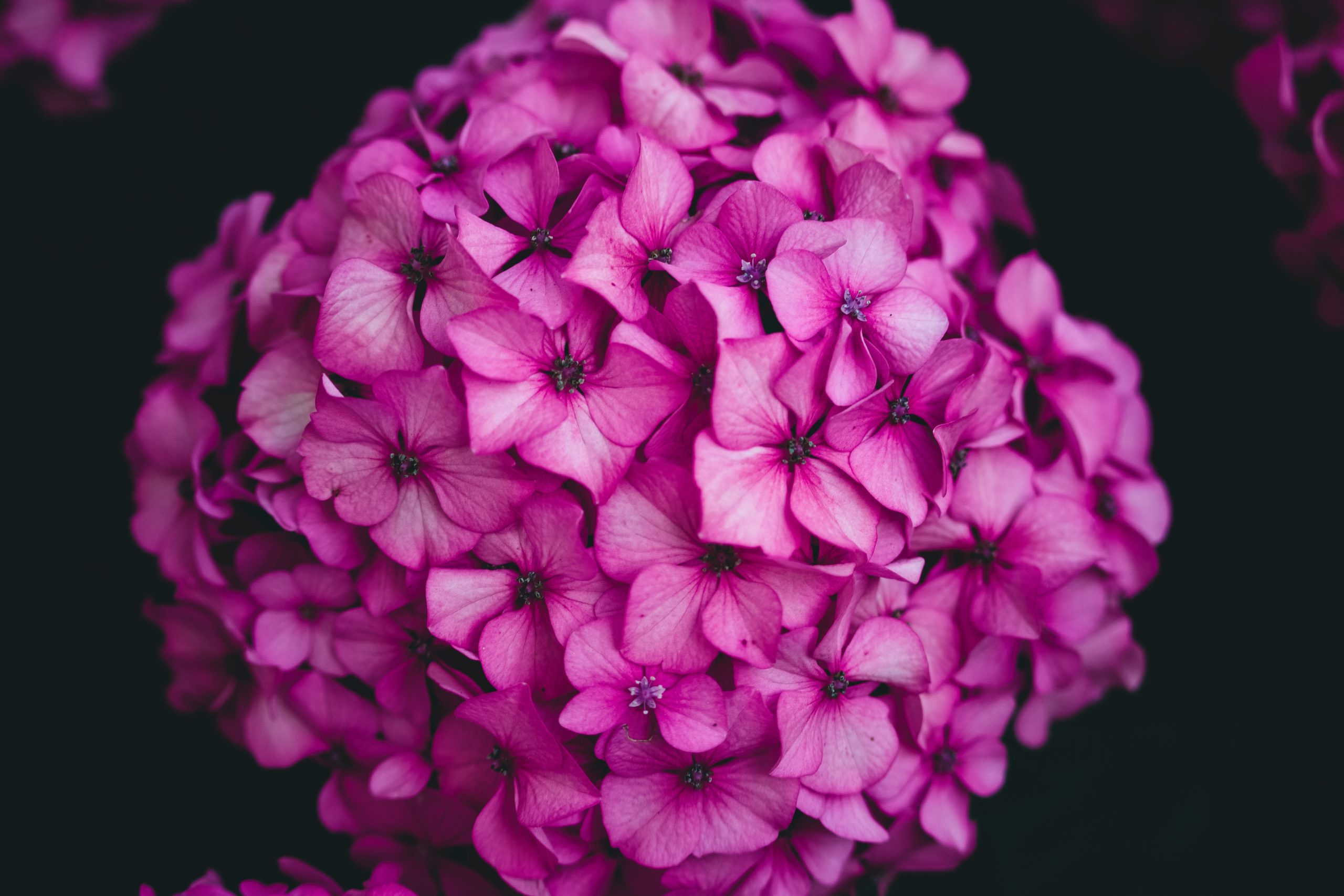 Bunching Your Deductions Can Provide Big Tax Benefits Cobb